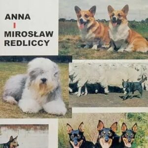Brytyjskie Psy Pasterskie - Anna i Mirosław Redliccy [KSIĄŻKA]