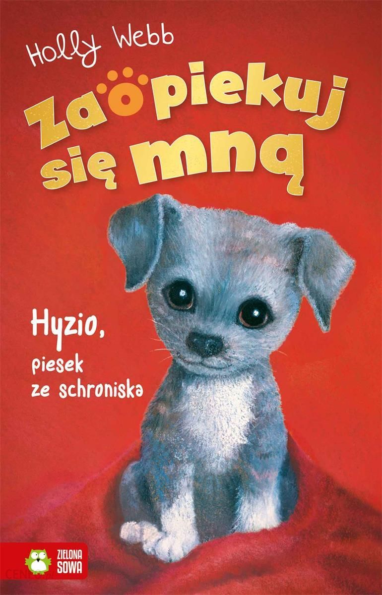 i-zaopiekuj-sie-mna-hyzio-piesek-ze-schroniska